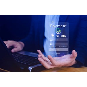 Digital Payments, Commercial Payments, Online Payments, FinTech, Discover Global Network, APAC